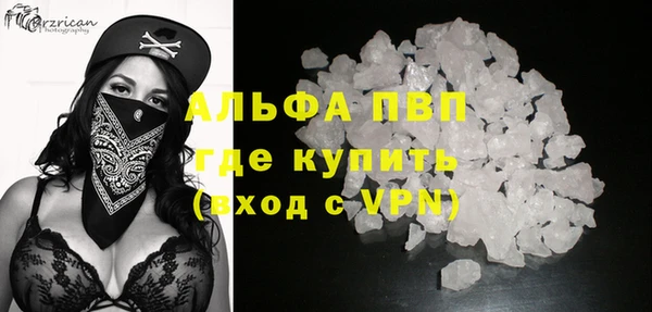 дживик Бородино
