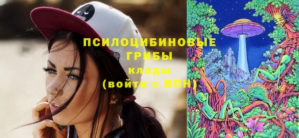 дживик Магадан