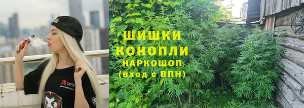дживик Магадан