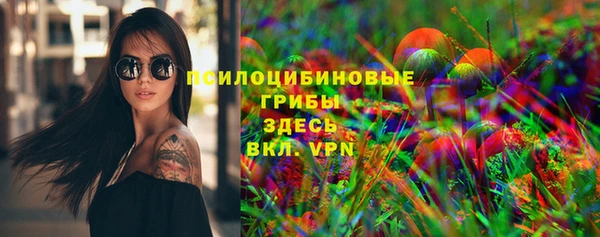 винт Майский