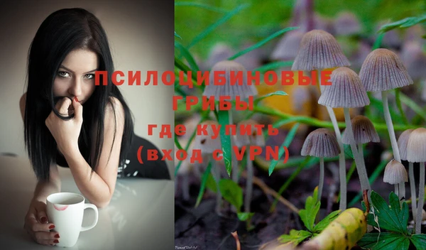 винт Майский