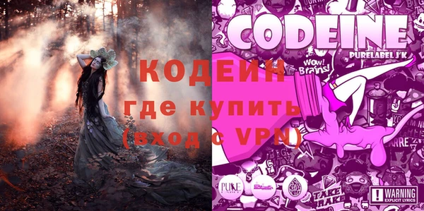 хмурый Липки