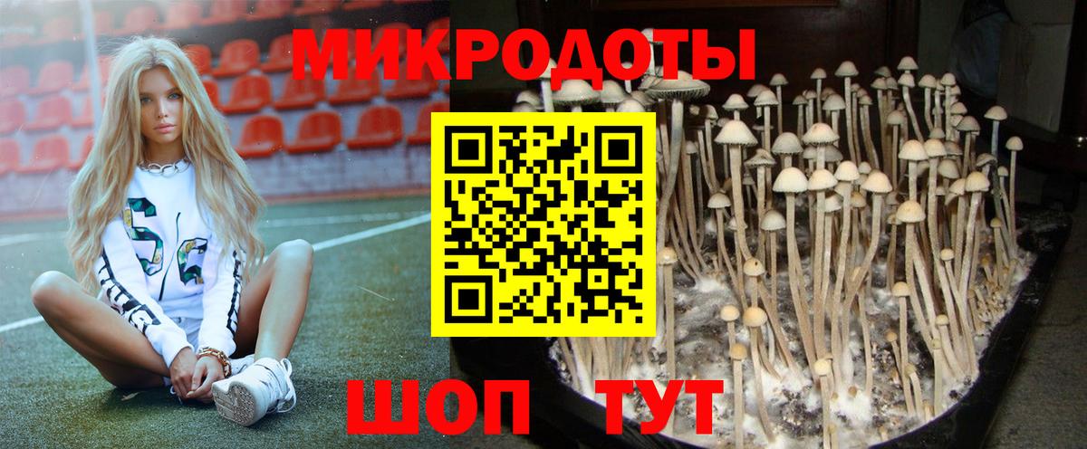 Галлюциногенные грибы Psilocybine cubensis  Галлюциногенные грибы ЛСД  Вичуга  Вход с VPN 